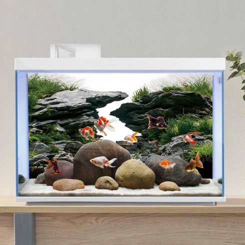AWERT 48x20 inches Viewing Stone Fish Tank Background River Bed & Lake Aquarium Background Seaweed Aquarium Vinyl Background...
