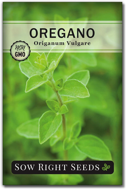 Sow Right Seeds - 5 Herb Seed Collection for Planting - Genovese Basil, Chives, Cilantro, Italian Parsley, and Oregano to Plant and Grow a Home Ve...