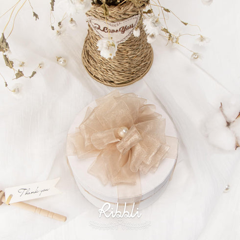 Ribbli Champagne Organza Ribbon,1/2 Inches x Continuous 50 Yard, Champagne Sheer Ribbon for Gift Wrapping,Cookie Wrapping,Wedding Decoration,All C...