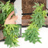 50cm/20in Aquarium Decorations Plants Artificial Fake Plastic Water Grass Plants for Fish Tank Aquarium Decor Artificial Hanging Plants...