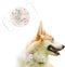 Rifle Paper Co. Airtag Dog Collar Holder - Waterproof Airtag Holder Dog Tag - Unique Floral Airtag Case for Dog Collar - Pet Collar Airtag Loop - ...