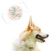 Rifle Paper Co. Airtag Dog Collar Holder - Waterproof Airtag Holder Dog Tag - Unique Floral Airtag Case for Dog Collar - Pet Collar Airtag Loop - ...