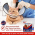 Seal It® Wound Gel for Pets | US-Made Dog Wound Care Gel to Stop Bleeding in Seconds & Seals Open Minor Wounds, Cuts & Scrapes from Canine Paw Wou...