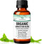 Essential Oil Breathe Blend for Diffuser, Humidifier, Aromatherapy & Rub with Peppermint & Eucalyptus Oils | for Headache, Allergy & Congestion...