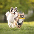 Dog Chew Toys for Aggressive Chewers,Idestructible Tough Durable Squeaky Interactive Dog Toys?Durable Dog Teeth Cleaning Toy for Medium Large Bree...