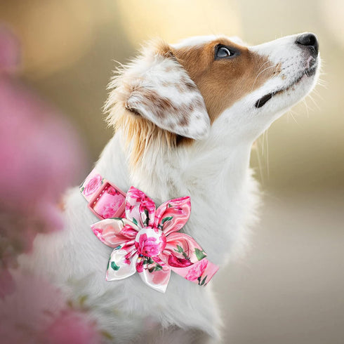 Dog Collar Floral Girl Pink Dog Collar with Rose Flower Bow Tie Dog Collar for Cute Female Cats Dogs Spring Summer Season Dog Collar for Small Med...