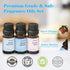 AmaKane Fragrance Oils Clean Set, 6 Premium Soap & Candle Making Scents, Essential Oils for Laundry, Fresh Linen, Clean Skin, Warm Cotton and More...