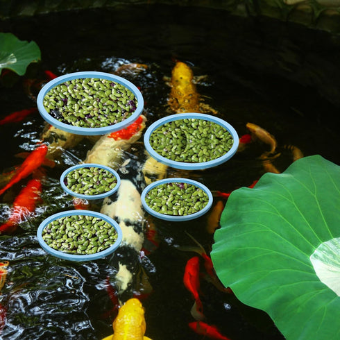 5pcs Aquarium Floating Plant Rings, Foam Round Fish Feeding Rings 5 Size Floating Plant Corral Fish Tank Food Ring Keep Floating Plants in Place (...