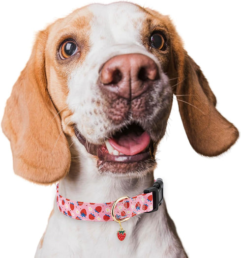 Dog Collar,Personalized Adjustable Cute Puppy Collars for Girl Female Boy Dogs Strawberry Patterned Design,Soft Pet Collar with Safe Buckle for Sm...