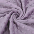 BORITAR Baby Blanket for Girls Soft Plush Minky Fabric, Double Layer Dotted Backing with Elegant Purple Butterfly Printed Blessed Blanket Gift for...