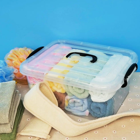 Readsky 8 Quart Lidded Storage Bins Plastic Storage Containers, Clear and Black, 2 Packs...