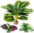 Reptile Artificial Plants, Terrarium Plants Decorations Supplies, Aquarium Fish Tank Plant, Amphibian Habitat Hideout Tank Accessories(L Set-3pcs/...