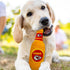 NFL KANSAS CITY CHIEFS BEER BOTTLE PLUSH DOG & CAT SQUEAK TOY - Cutest STADIUM SODA BOTTLE SNACK Plush Toy for DOGS & CATS with INNER SQUEAKER & B...