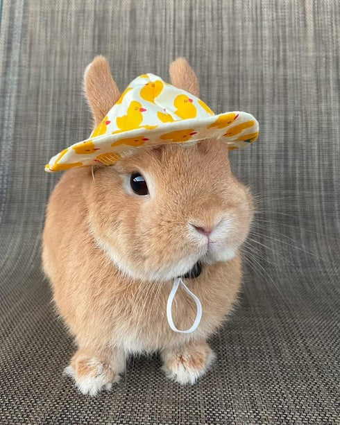 6 Pieces Small Animal Summer Hats & Sunglasses Small Pet Costume Outfit Accessories for Bunny Kitty Guinea Pig Puppy Chinchilla Ferrets...