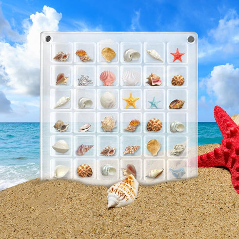 36 Grids Acrylic Magnetic Seashell Display Box, Advantageouse Acrylic Magnetic Seashell Display Box, Clear Seashell Storage Box, for Bead, Nail, J...
