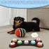 Dog Buttons for Communication, 7 Dog Talking Button Set, Recordable Training Buzzers, Speaking Button for Dogs with Waterproof Anti-Slip Dog Butto...