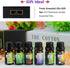 Fresh Essential Oils Set, 6x10ml Aromatherapy Oil Gift Kit for Diffuser, Fragrance, Humidifiers, Air Purifier- Tea Tree, Bergamot, Rosemary, Laven...