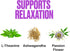 VitaHustle Chill Gummies for Stress Relief, 300 mg KSM 66 Ashwagandha, L-Theanine, Vegan, Mood Gummies, Balance Cortisol, Focus (Passion Fruit) 50...