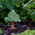 Top Collection Miniature Fairy Garden & Terrarium Mini Leafy Tree Decor with Pick, Small...