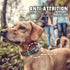 Auroth Dog Collar for Medium Large Dogs, Reflective Dog Collar, Soft Nylon Adjustable Dog Collars with Heavy Duty Metal D Ring Tangle Free (Medium...