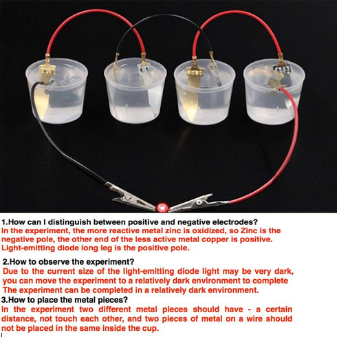 3 Sets Fruit Battery Science Experiment Kit for Home Teaching Toy, Orange Lemon Potato Battery Physics Teaching Experiment with Electronic Clock E...