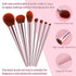 7Pcs Pink Makeup Brushes Set Professional, Face Foundation Brush, Eye Brush, Essential Beauty Tools for Travel for Beginners by YUESHENNAN...