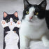 Cat Funny Hand Towels for Bathroom Kitchen - Cute Decorative Cat Decor Hanging Washcloths Face Towels Super Absorbent Soft - Housewarming Birthday...