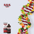 S.S.S. Tonic, Iron and Vitamin B Supplement, High Potency Vitamins, Bottle,10 Fl Oz (Pack of 1)...