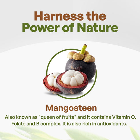 Go Nutra - Mangosteen Powder, Pure Superfood Powder Made from Mangosteen’s Pericarp (Hull), Antioxidant-Rich Powder for Yogurts, Fruit Juice, Smoo...