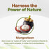 Go Nutra - Mangosteen Powder, Pure Superfood Powder Made from Mangosteen’s Pericarp (Hull), Antioxidant-Rich Powder for Yogurts, Fruit Juice, Smoo...