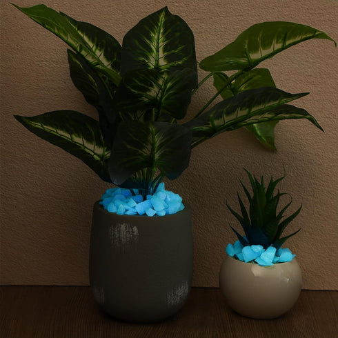 Glow in The Dark Gravel, Fluorescent Glow in The Dark Rocks Decorations Fish Tank Rocks Decorative Aquarium Gravel Stones for Garden Room Planter ...