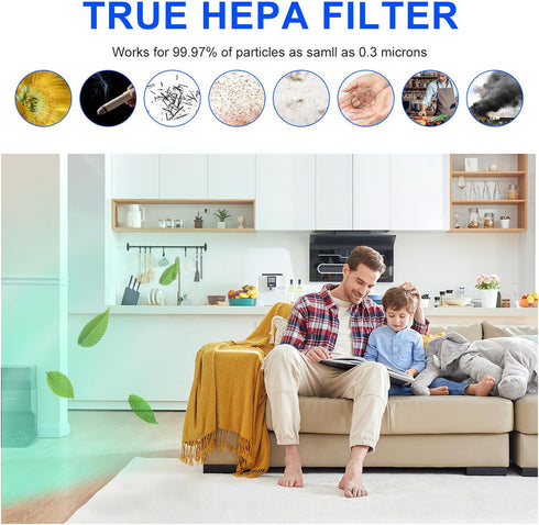 990051000 Replacement True HEPA Air Filter Compatible with Hamilton Beach TrueAir Compact Pet Air Purifiers 04383 04384 04385 04386, H13 High-effi...