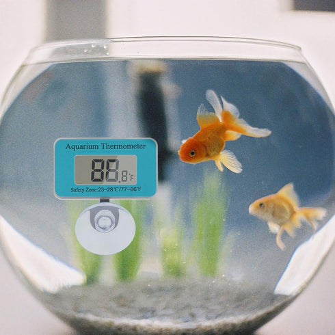 DaToo Aquarium Thermometer with Sucker, Second Generation (Update), 1 Yr Warranty...