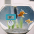 DaToo Aquarium Thermometer with Sucker, Second Generation (Update), 1 Yr Warranty...