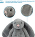Best Pet Supplies Interactive Bunny Buddy Dog Toy with Crinkle and Squeaky Enrichment for Small and Medium Breed Puppies or Dogs, Cute and Plush -...