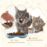 4 Pcs Whisker Fatigue Relief Cat Bowl Shallow Cat Food Dish 6 Inch Cat Wet Feeding Bowls Wide and Short Legged Cat and Small Pet Plate for Kittens...