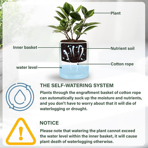 Self Watering Planter,Indoor Plants Pots for 4 Inch,2 Pack Clear White Plastic Flower Pot with Wick Rope,Home Modern Cylindrical Ribbed Decorative...