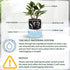 Self Watering Planter,Indoor Plants Pots for 4 Inch,2 Pack Clear White Plastic Flower Pot with Wick Rope,Home Modern Cylindrical Ribbed Decorative...