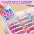 THYSSEN Bead Organizers,30Pcs Plastic Mini Clear Storage Cases with 1pcs Hinged Lid Rectangle Case,Bead Containers Transparent Boxes,for Jewelry B...