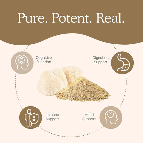Lion’s Mane Powder - Organic Lions Mane Mushroom Extract with Immunomodulating Properties & Antioxidants - Vegan Mushroom Supplement, 60 Servings...