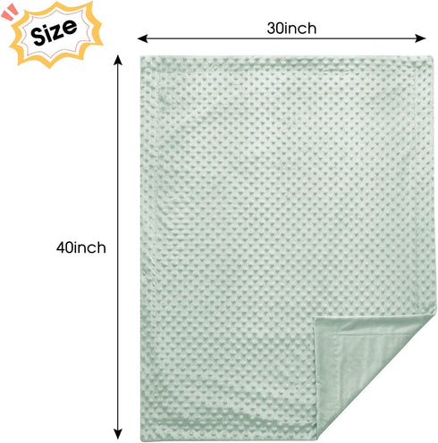 david's kids Minky Baby Blanket for Girls, Soft Lightweight Micro Fleece Blanket with Double Layer, Dotted Backing, Breathable Receiving Blanket f...