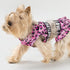 Fitwarm 2 Piece Leopard Quick Dry Dog Cooling Vest, Breathable Summer Dog Clothes with Crop Top and Skirt, Stretchy Beach Pet Dress, Pink, XS...