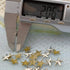 Beadsland Hotfix Iron On, Flat Back Stars Studs - 1/4" Flatback Glue on Studs 300pcs (Silver, 12x12mm)...