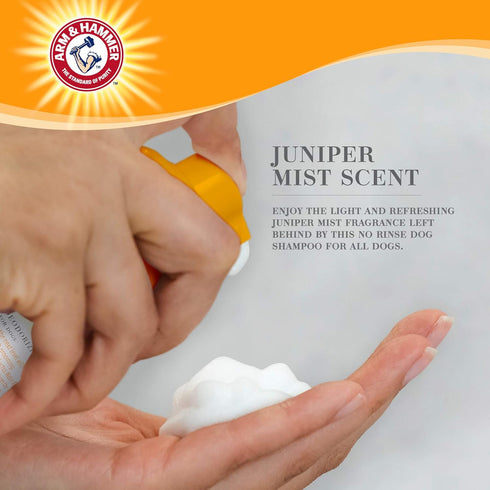 Arm & Hammer Ultra Fresh No Rinse Deodorizing Foam for Dogs, Juniper Mist, 8 Oz | Waterless Dog Shampoo | Baking Soda Neutralizes Bad Odors for an...