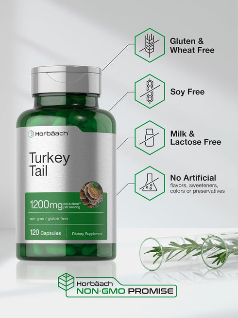 Horbaeach Turkey Tail Mushroom Capsules | 1200mg | 120 Count | Non-GMO and Gluten Free Extract...