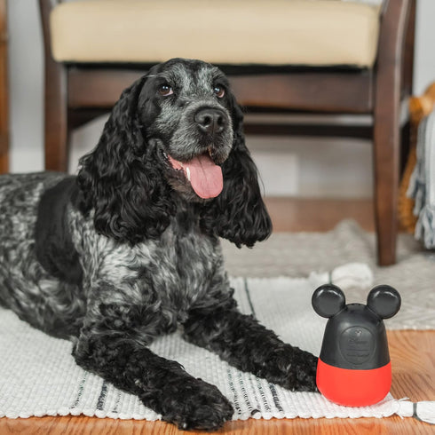 Harry Barker Mickey Dog Toys, Dog Balls, Dog Treater...