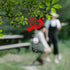 18" Wind Spinner Outdoor Hanging Metal Figurine Spinner for Garden Décor Ornament Lawn Yard Patio,Cardinal...