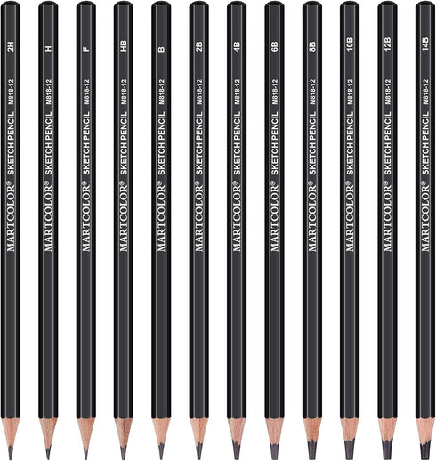 YUANCHENG Professional Drawing Sketching Pencil Set - 12 Pieces,Graphite,(14B - 2H), Graphite Pencils for Drawing, Shading Pencils for Sketching, ...
