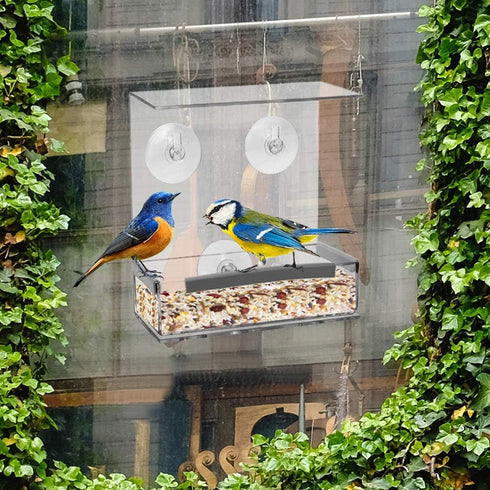 Window Bird Feeder with Strong Suction Cups, Kitchen Window Bird Feeder Acrylic Hanging Bird Feeder Outdoor Suction Bird House for Outside Wild Bi...