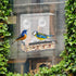 Window Bird Feeder with Strong Suction Cups, Kitchen Window Bird Feeder Acrylic Hanging Bird Feeder Outdoor Suction Bird House for Outside Wild Bi...